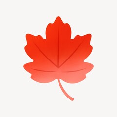 Obraz premium Vibrant red maple leaf illustration.