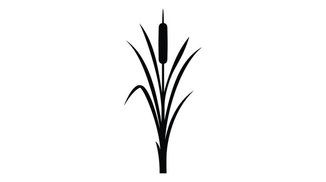 Cad tree lines,grass Reed icon, simple cattail plant silhouette, marsh vegetable grass symbol, black vector outline design vector