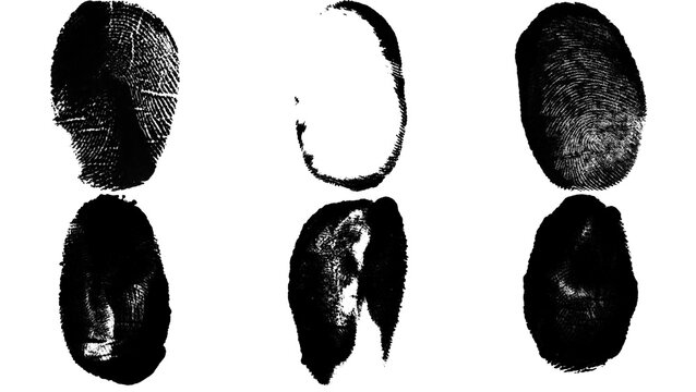 Black ink fingerprints and thumbprint impressions set for forensic identification and biometric security analysis