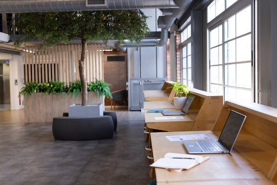 Row of desks is being lit by tall windows with laptops, papers, plants in coworking office