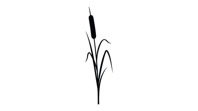 Cad tree lines,grass Hand drawn cattail outline vector illustration. Minimal black nature icon with long grass leaves. Wetland aquatic plant sketch design. Botanical marshland weed symbol. vector