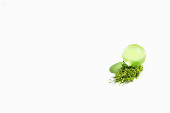 Green glass sphere resting on patch of moss botanical nature