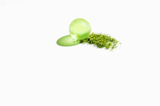 glass sphere resting on patch of wild meadow grass environmental