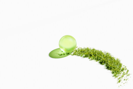 glass sphere rolling over meadow grass sustainable environment