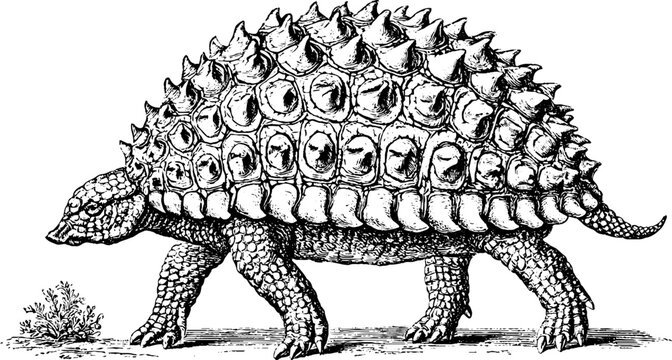 Antique engraved doedicurus illustration isolated on white for vintage natural history poster and background design