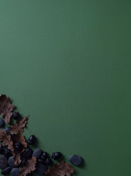 Overhead view of dried berries pine cones and natural elements arranged in the corner of a dark green background with ample copy space for design