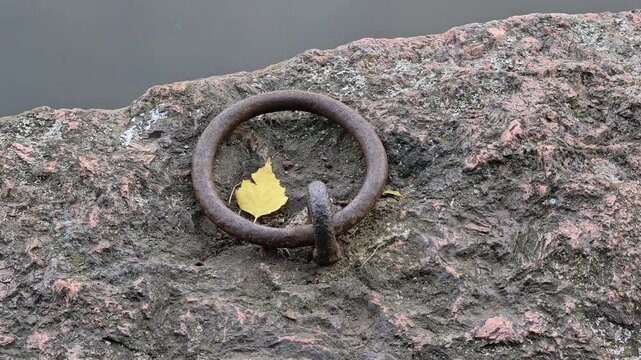A ring sits on a rock with a leaf stuck out of it