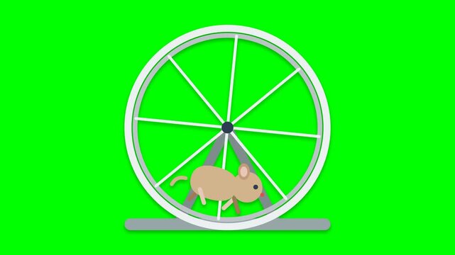 Animated mice running in exercise wheels on green background