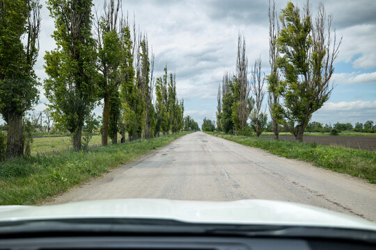 View from the car hood on an asphalt country road lined with tall trees and green grass under a cloudy sky