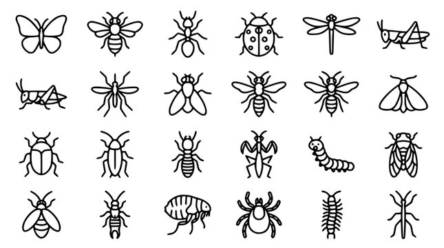Insects and Bugs Line Icon Set with Butterfly Bee Ant Ladybug Dragonfly Caterpillar and Nature Wildlife Outline Symbols