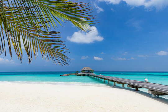 Idyllic tropical beach palm trees wooden jetty pier turquoise lagoon white sand summer vacation paradise. Peaceful summer beach nature seascape. Luxury holiday relax travel island perfect background