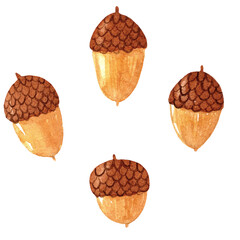 Hand drawn watercolor acorn. Forest tree element, fall season © Chorna Viktoriia