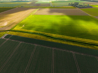 Obraz premium High angle wide horizontal aerial drone photograph of polder fields, crop rows, drainage canals, and cloud shadows in Kamperland, Zeeland, Netherlands on sunny summer day