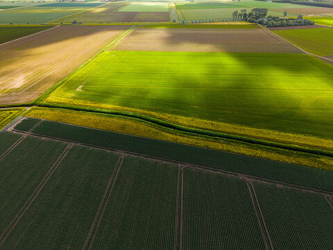 High angle wide horizontal aerial drone photograph of polder fields, crop rows, drainage canals, and cloud shadows in Kamperland, Zeeland, Netherlands on sunny summer day
