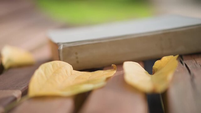 Close up of hardcover book with embossed text on its spine resting among yellow fallen leaves. scene features soft natural lighting and shallow depth of field emphasizing texture details