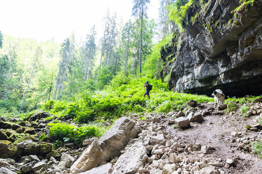 amazing green scenery in Apuseni mountains, Romania