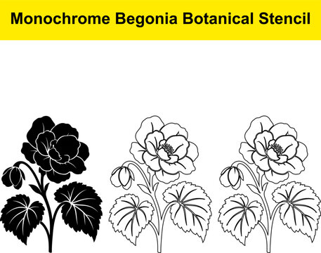 Monochrome begonia botanical stencil illustrations in solid black line art and white outline style.