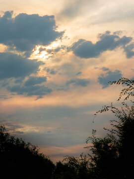 A dramatic sunset sky with golden sunlight breaking through dark clouds, framed by silhouetted tree branches with a single bird flying in the distance.