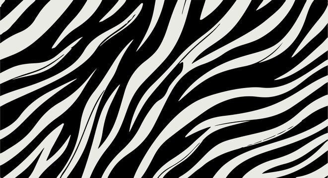 Zebra print pattern background, black and white animal skin texture vector illustration.