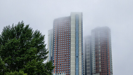 Fototapeta premium Modern high-rise residential buildings shrouded in dense fog and low clouds, framed by lush green trees in moody urban cityscape