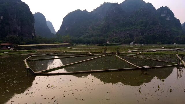 Tranquil Aerial View of Flooded Lotus Ponds & Karst Mountain Reflections in Ninh Binh, Vietnam (4K)