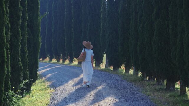 Fashion woman wearing a hat and a white dress strolls down a tranquil road surrounded by towering cypress trees