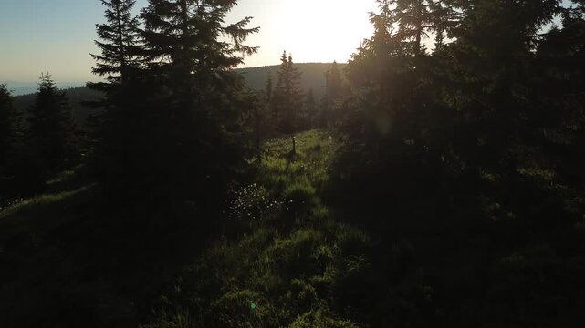 Aerial view of Voseck&aacute; bouda mountain shelter bathed in golden hour light, Karkonosze Mountains