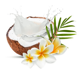 Coconut half with splashing milk, plumeria flowers and green leaf isolated on white © New Africa