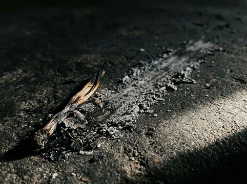 Charred Wood on Ash Covered Ground After Fire