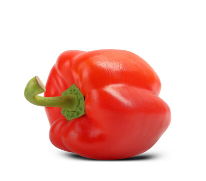 a single red bell pepper
