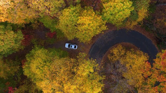 Scenic turnout with a parked car facing mountain autumn landscape. Colorful forest and rolling hills create a peaceful travel destination.