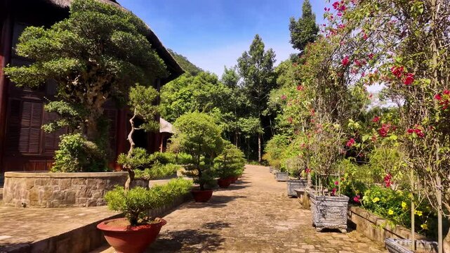 Lush Zen Garden Walkway with Potted Bonsai Trees and Bougainvillea Flowers in Phu Quoc Vietnam