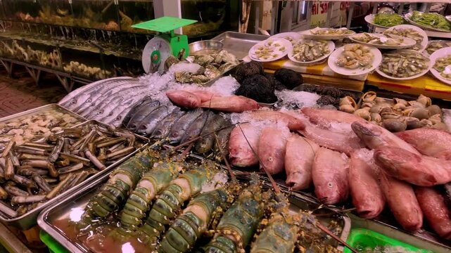 Fresh Seafood Stall Display with Lobsters, Prawns, and Snapper at Phu Quoc Night Market in Vietnam: 4K Video