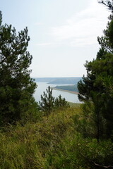 Obraz premium lake and forest