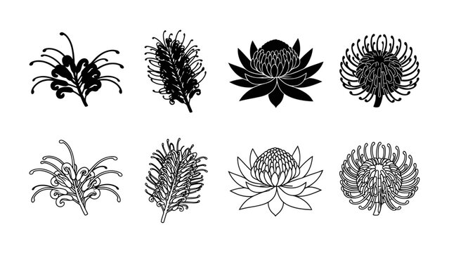 Set of Australian Protea Flower Icons: A collection of black and white graphic illustrations depicting various species of protea flowers, including pincushion protea and king protea.