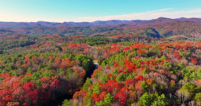 Winding forest road in Tennessee Appalachians during fall. Car traveling through mountain woods under glowing autumn leaves.