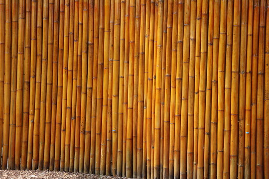 Natural bamboo wall texture showcasing rustic architecture, sustainable materials, and traditional craftsmanship.