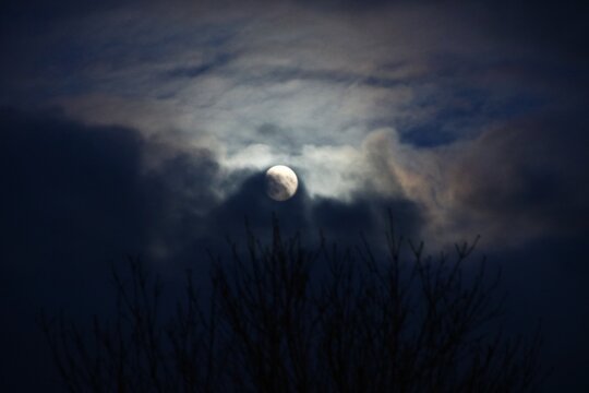 Moon behind dark clouds with silhouetted branches