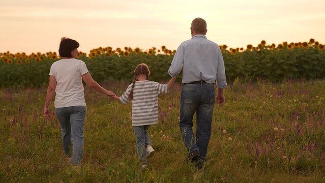Family mother father man woman parent walking through field with child sunflowers at sunset, Happy family time girl child outdoors, Parents holding hands with child, Sunset walk in countryside in