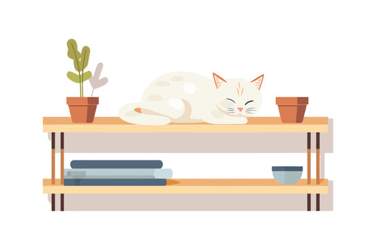 Cat laying on shelf isolated