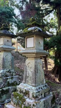 Ancient moss covered stone lanterns at a Japanese shrine
