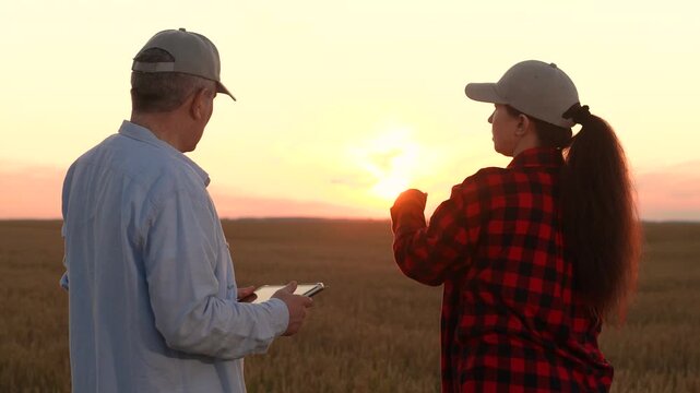 agricultural deal sealed with a handshake, grainfield partnership under a pastel sunset, trust in the field: farmers shaking hands, woman shows man farmer tablet while walking wheat field together
