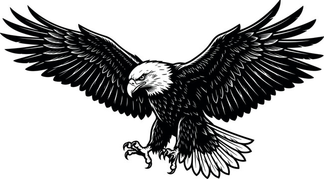 Soaring American Bald Eagle with Spread Wings Vintage Engraving Vector Illustration
