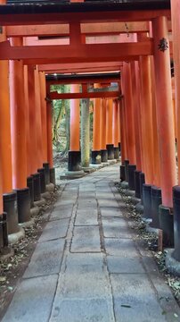 Walking along the Fushimi Inari Shrine path in Kyoto
