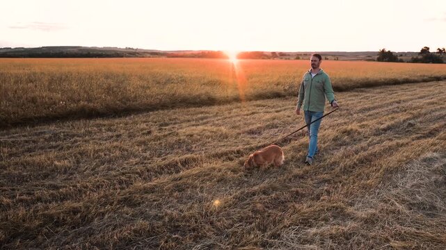Man walks cute cocker spaniel dog on leash in field with mown grass at sunset light owner rests walking red spaniel dog in rural park man with dedicated spaniel dog in country park on weekend