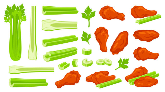 Set of buffalo chicken wings and crisp celery stalks for a snack menu illustration, food design elements for restaurants, pubs, and bars