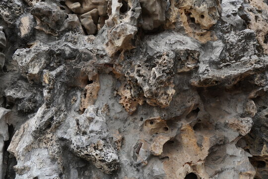 Textured Limestone Rock Formation Closeup