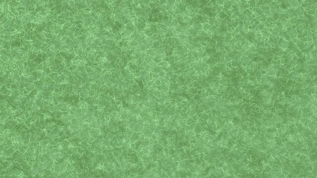 Green Grass Field Aerial View 4K