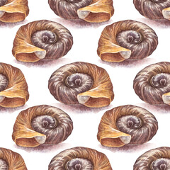 Watercolor seamless pattern with brown yellow sea shell with shadow on white background. Creative hand-drawn nature realistic art for celebration card. River element for wallpaper or wrapping © NatashaKun