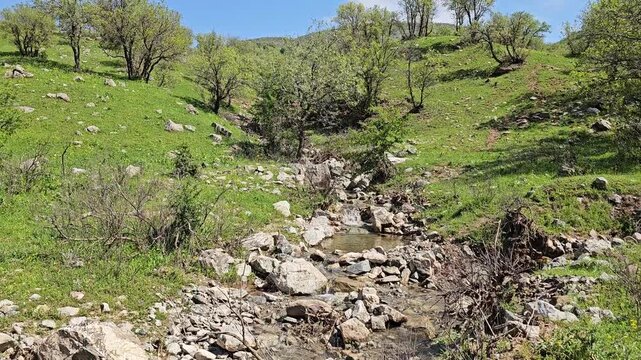 Clear flowing stream winds down a rocky streambed between lush green hillsides, framed by trees under a bright blue spring sky.
📍 Marivan, Kurdistan, Iran 